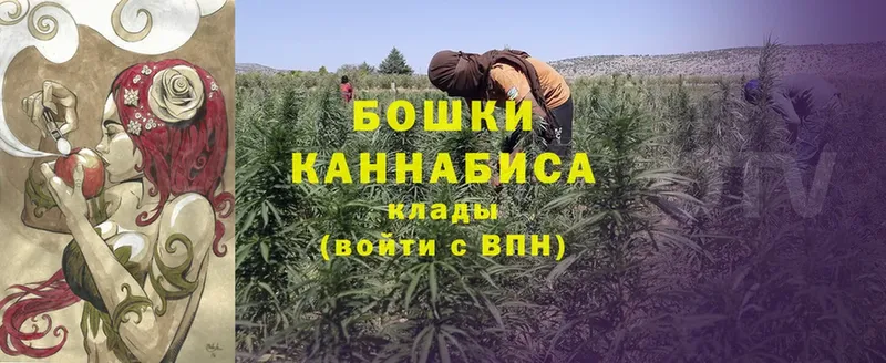 Шишки марихуана White Widow  что такое   Аша 